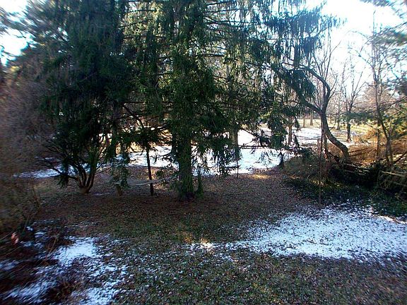 View from deck
