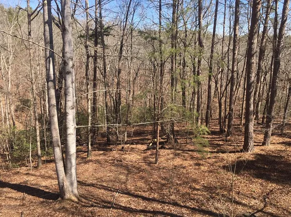 10 Olivia Ln, Ball Ground, GA 30107