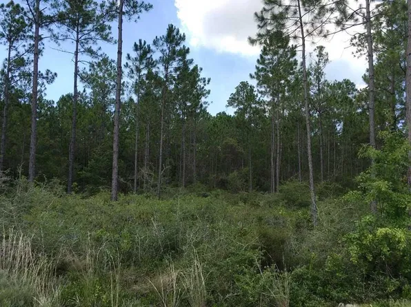 4600 Condado Cir, Perdido Key, FL 32507
