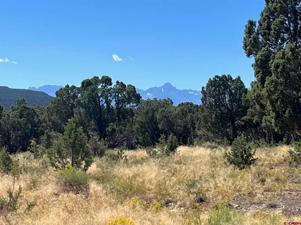 Tract 2 Cactus Drive, Montrose, CO 81403