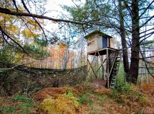 E Sun Oil Rd, Gladwin, MI 48624