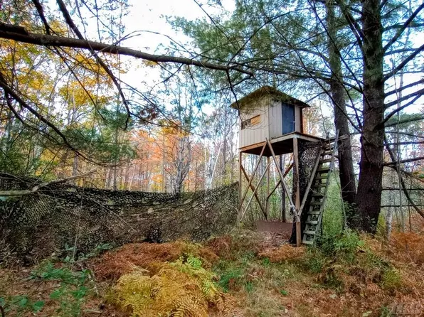 E Sun Oil Rd, Gladwin, MI 48624