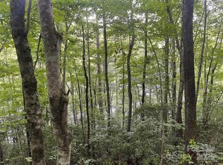 2642 Canada Rd, Tuckasegee, NC 28783