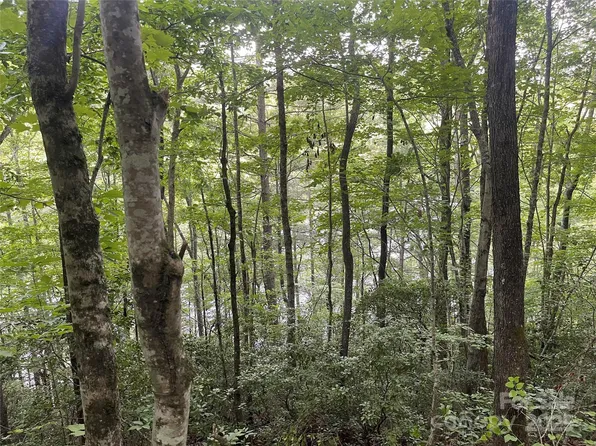 2642 Canada Rd, Tuckasegee, NC 28783