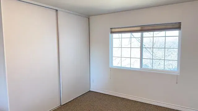 1121 Nadelhorn Drive — Photo 4