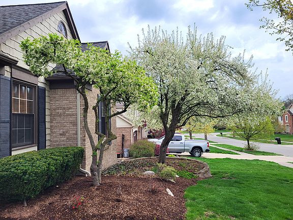 4th image of 9693 Normandy Dr