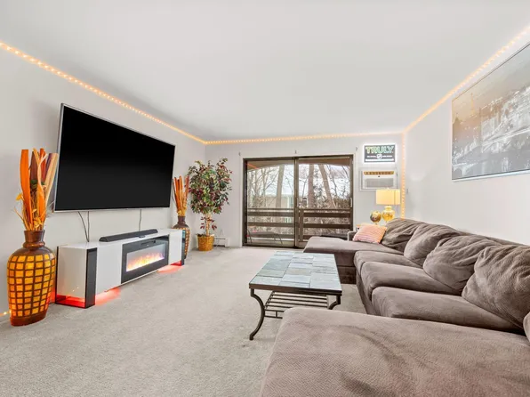 4407 Wilshire Blvd #305, Mound, MN 55364