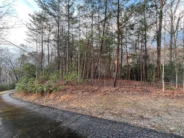 70 Canvasback Ct, Whittier, NC 28789