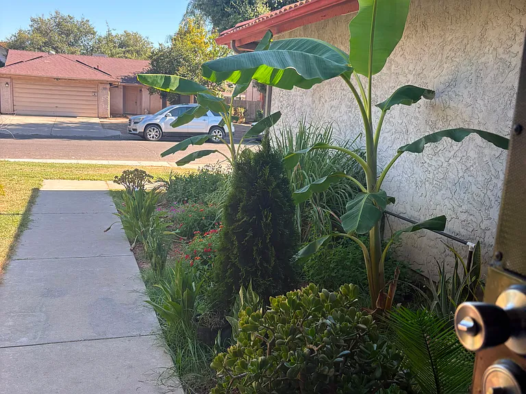 3696 W Fedora Ave — Photo 3