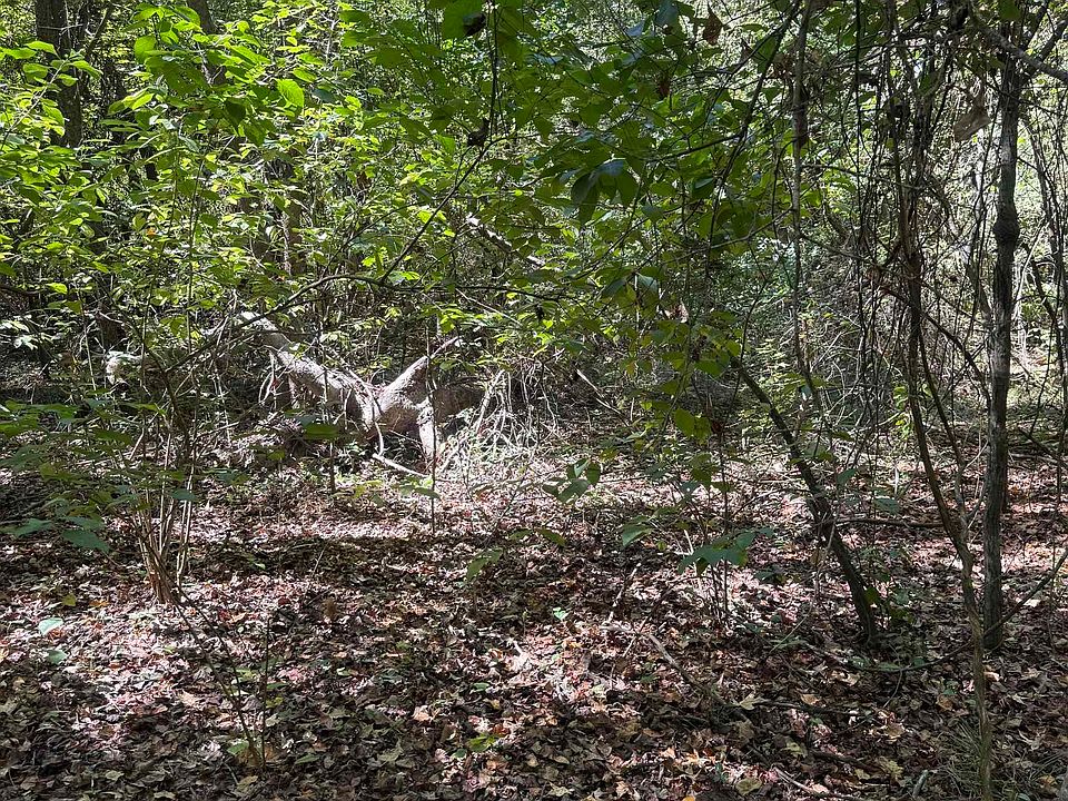 2nd image of TBD Tyler Rd.