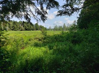 Mamie Lake Rd, Watersmeet, MI 49969