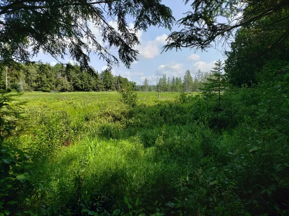 Mamie Lake Rd, Watersmeet, MI 49969