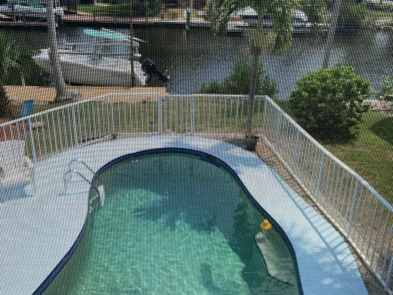4827 Regal Dr — Photo 10