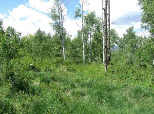 Tbd Harrison Creek Rd, Collbran, CO 81624