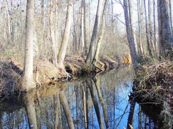 0 Bivens Rd E, Quitman, AR 72131