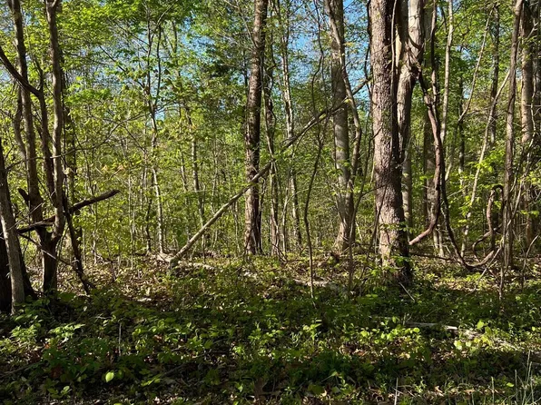Pine Hollow Rd, Jacksboro, TN 37757