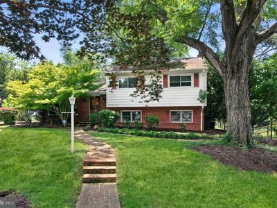 703 N Naylor St, Alexandria, VA, 22304