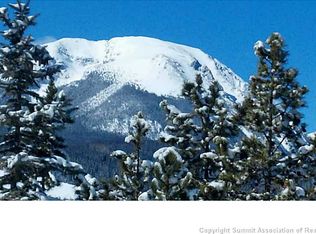 353-2020 County Rd, Silverthorne, CO 80498