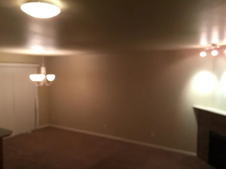 dining and fireplace