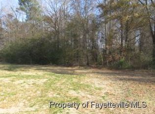 145 English Springer Dr, Angier, NC 27501