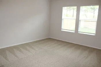 841 Margay Loop — Photo 6