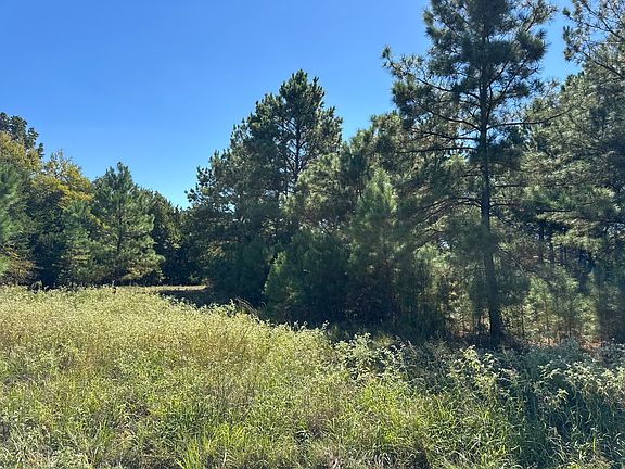 4th image of 9 County Road 2922