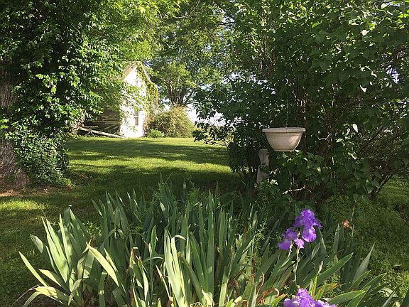 Old house & fav shade trees