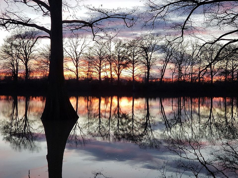 2nd image of 1177 Lake Rest Rd