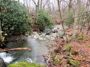 Tbd Burbank Rd, Roan Mountain, TN 37687