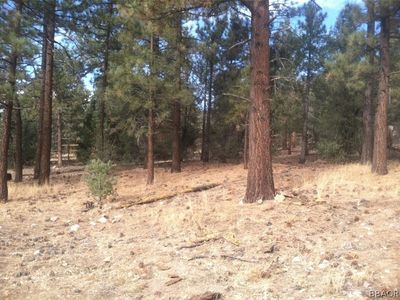 0 Mahogany Pl, Big Bear City, CA, 92314