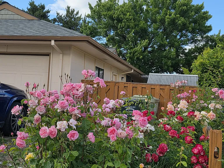 18165 NW Corinthian St — Photo 43