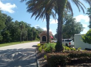 4654 Coppola Dr, Mount Dora, FL 32757