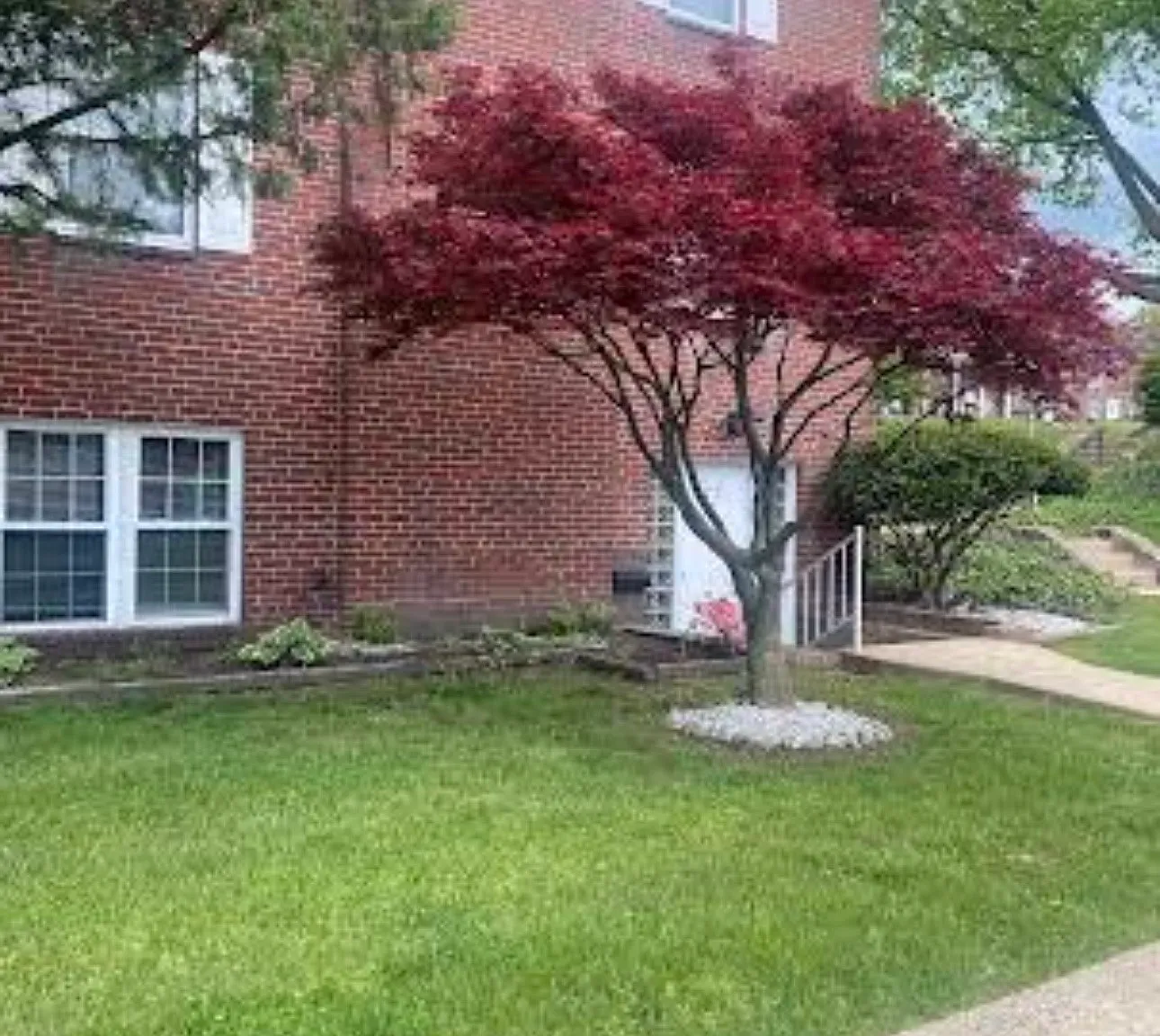 2 bed, 960 sqft, $1,650 — Photo 1