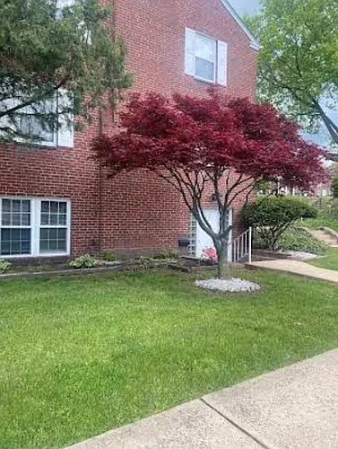 200 Maplewood Dr Photo 1