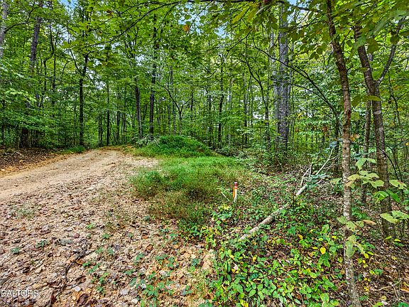 4th image of 20 Timber Ridge Ln