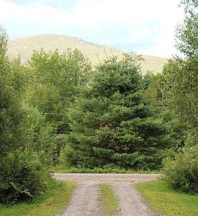 Driveway with Laraway Mt.
