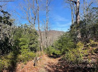 0 Laurel Thicket #100, Brevard, NC 28712
