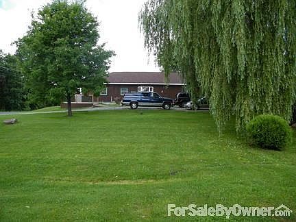 Willow and maple tree.