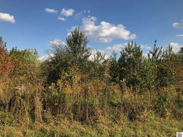 45 Chris Dr, Mayfield, KY 42066
