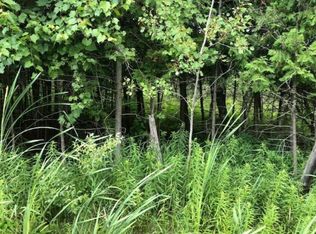 0 10th Ave, Remus, MI 49340