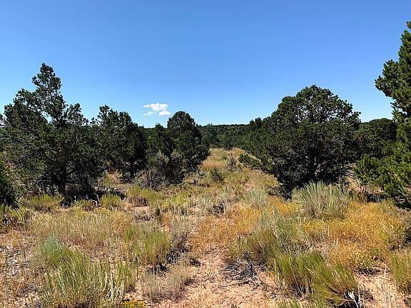 4th image of 29580 Road W