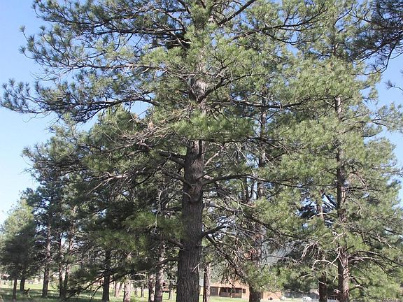 2nd image of 2799 W Brookhollow Dr