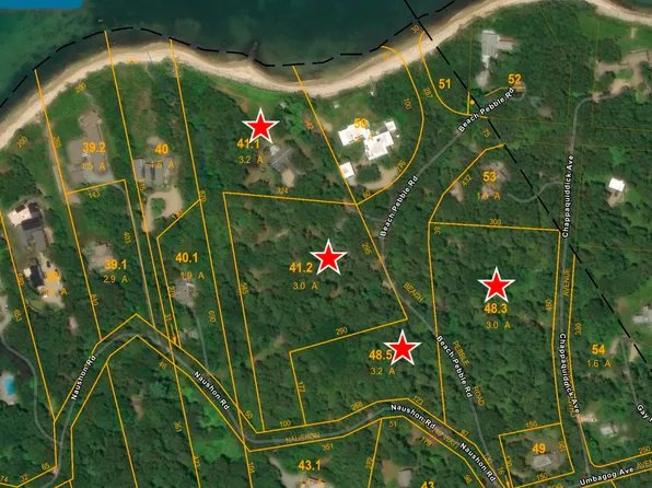 29 & 25 Naushon Rd, West Tisbury, MA 02575