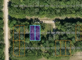 Lots 435 And 436 Wake Frst, Livingston, TX 77351