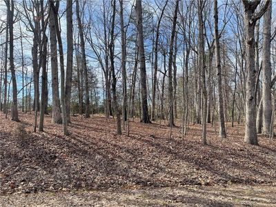 6205 Oak Forest Ct, Summerfield, NC, 27358