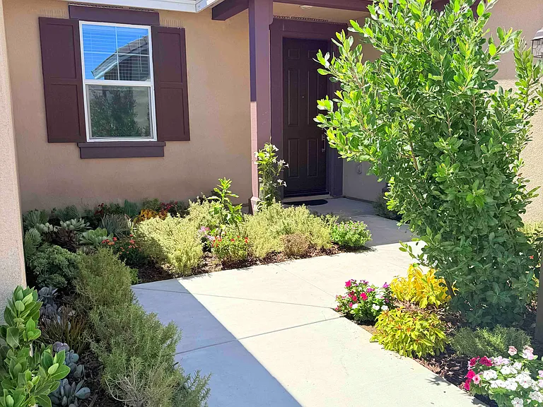 26541 Scotch Pine Cir — Photo 2