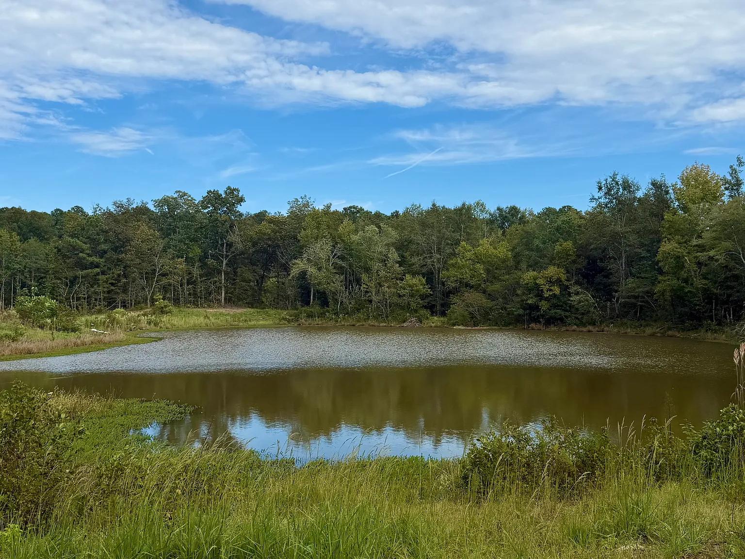 County Road 43, Vandiver — Photo 3