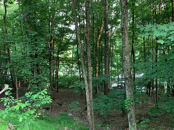 2nd image of Tbdd Thorngrove Dr