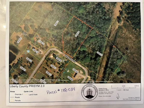 Smiley Loop Rd, Riceboro, GA 31323