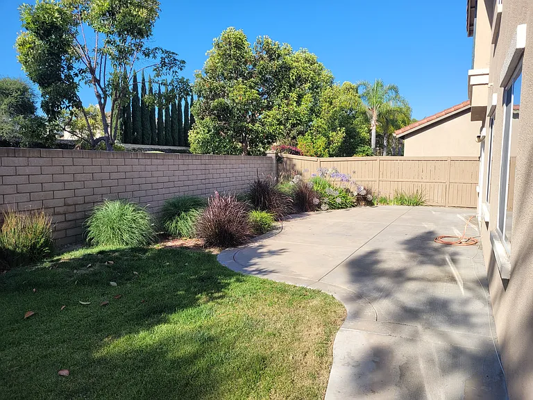 Yard East Facing - June 2026